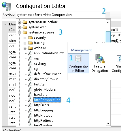 IIS Manager compression options